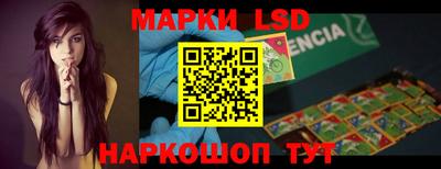 Альфа ПВП Владикавказ
