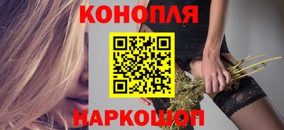 Альфа ПВП Владикавказ