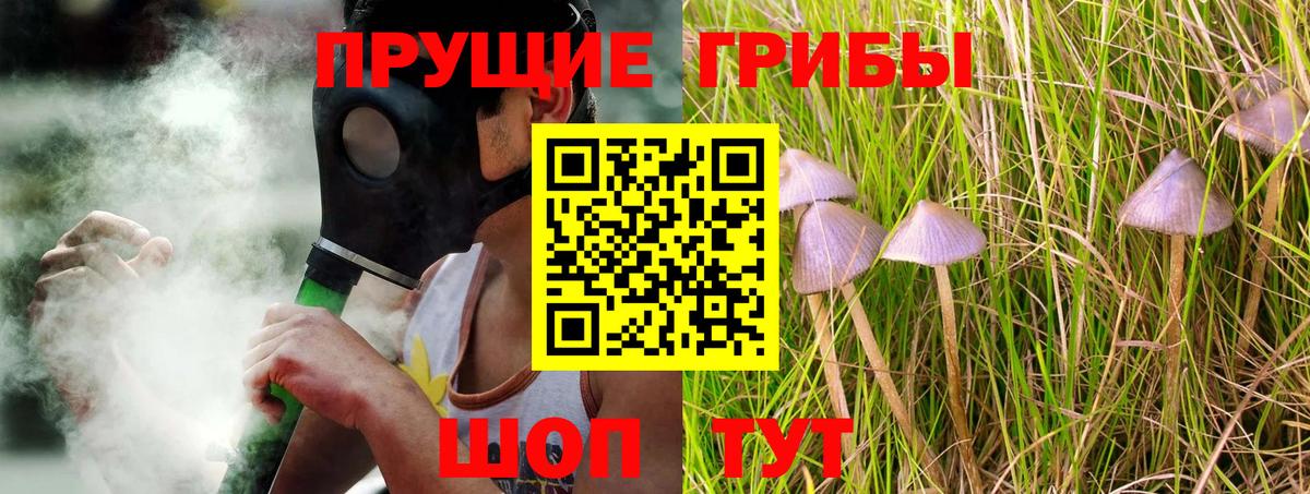 дарнет шоп  Псилоцибиновые грибы Psilocybe  Вход с VPN  Архангельск 