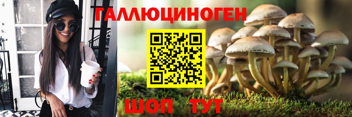 Псилоцибиновые грибы MAGIC MUSHROOMS Архангельск
